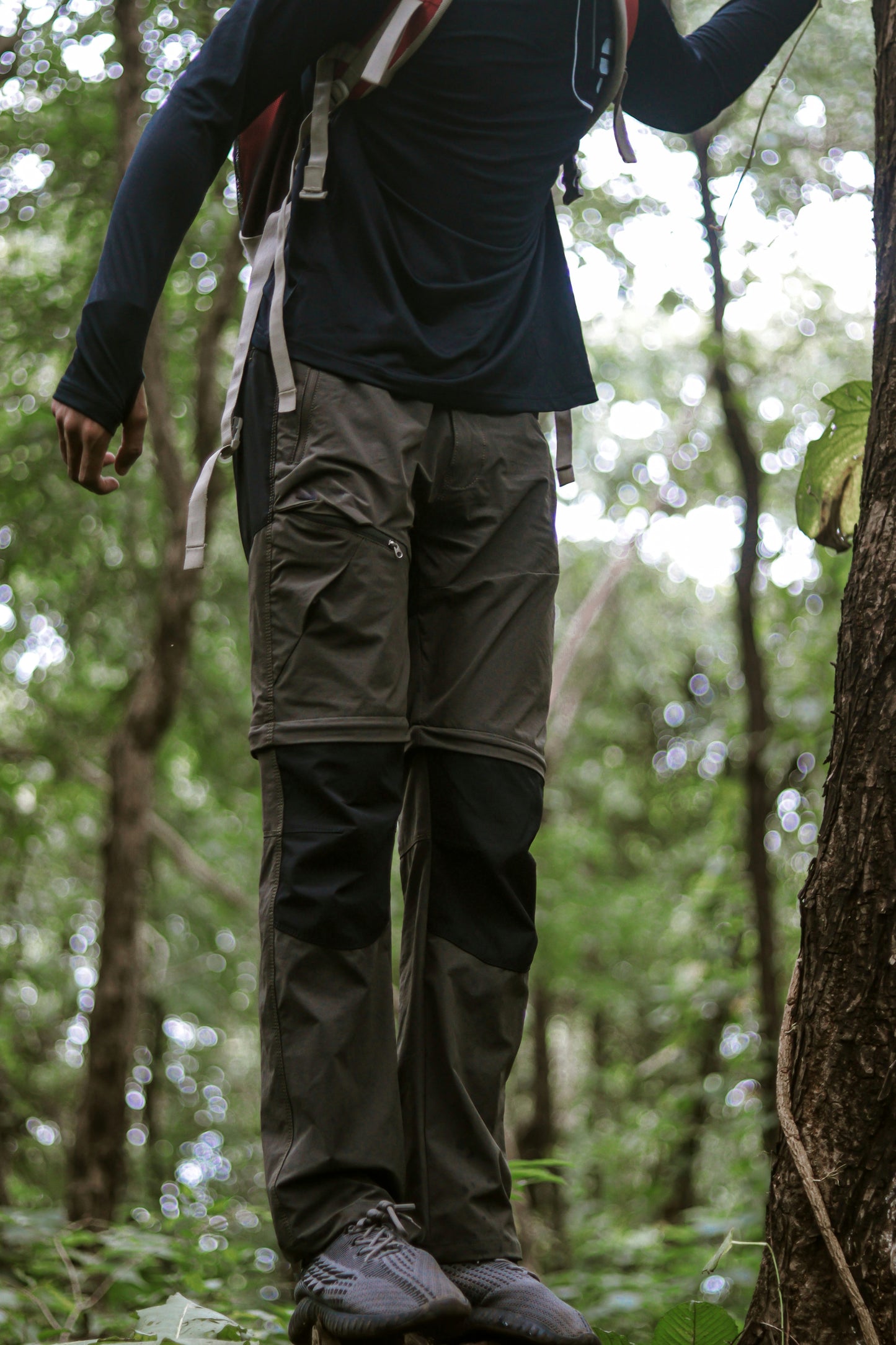 EW Hiking Series Convertible Trekking Pant Olive Colour
