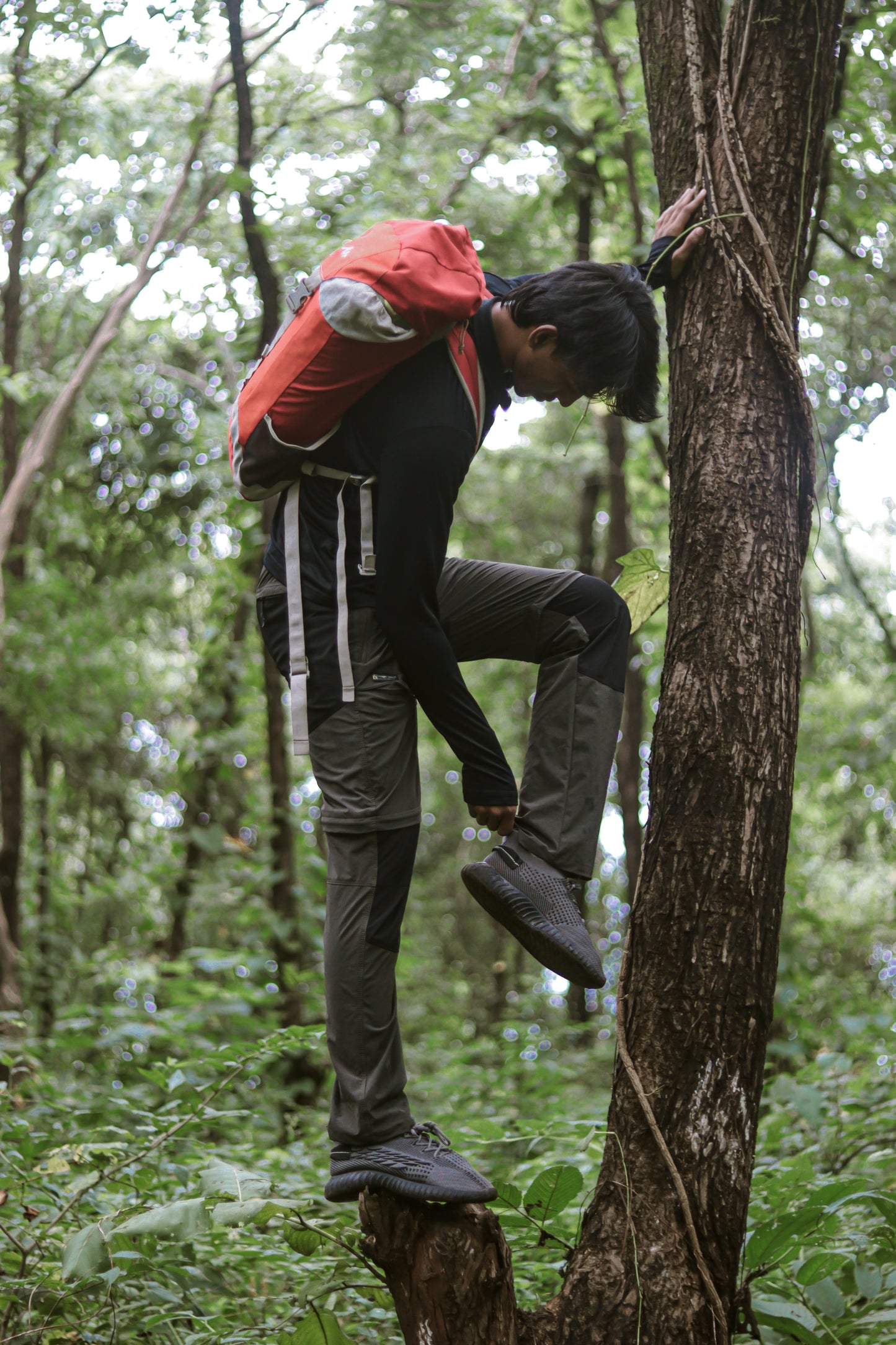 EW Hiking Series Convertible Trekking Pant Olive Colour